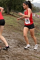 2010NCSXC GD1-1237